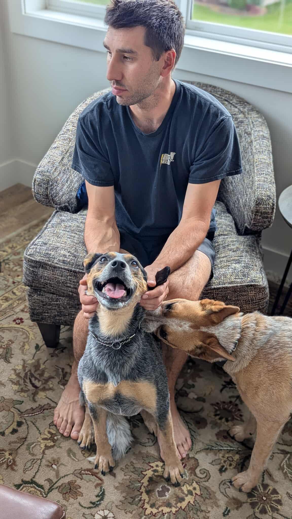 Maggie, a Adoptable Cattle Dog in Abbotsford, BC image 6/6