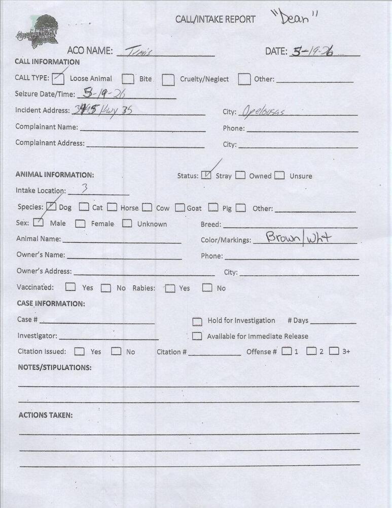 Enlarge DEAN, a Adoptable mixed breed in Opelousas, LA image 2/3