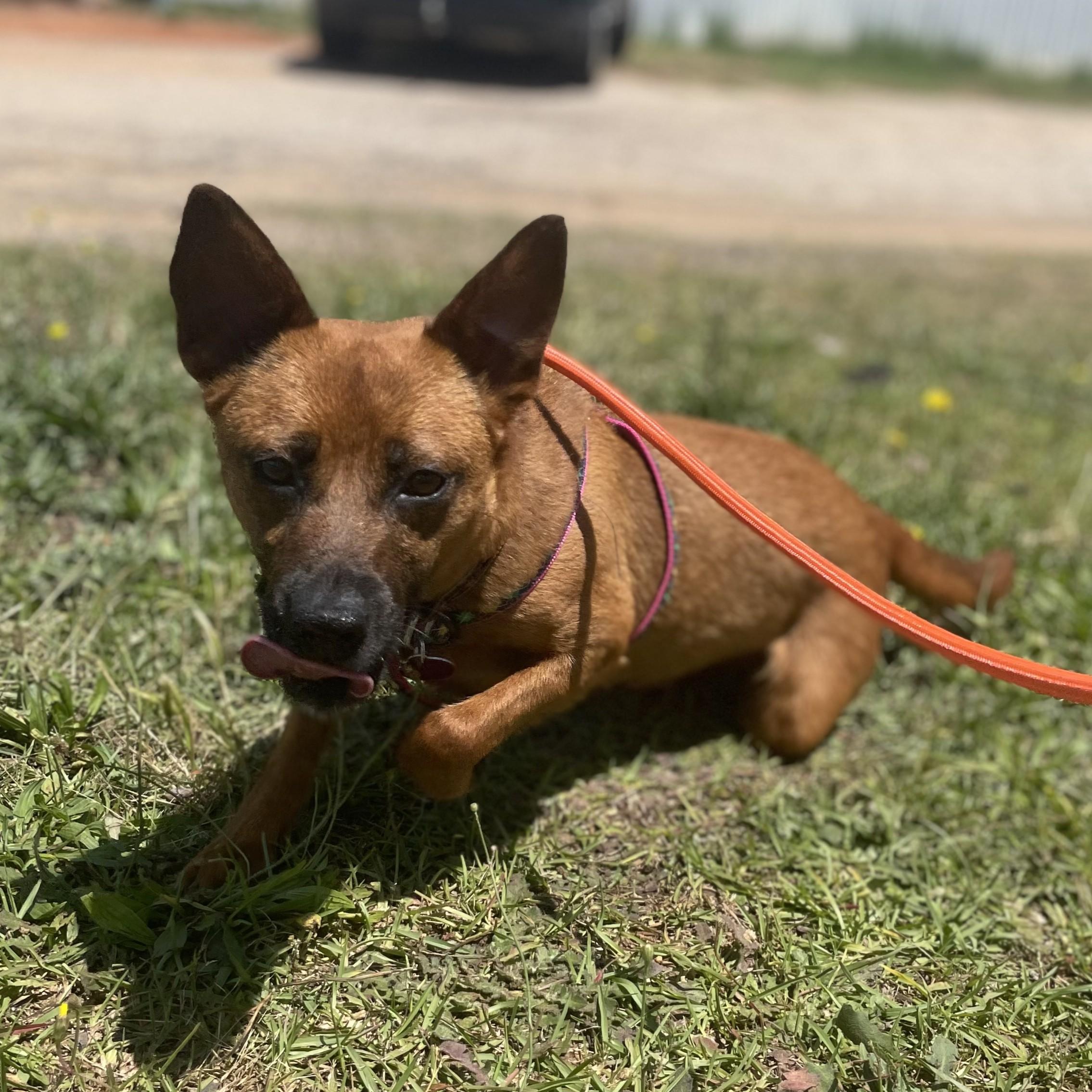 Tortellini thumbnail 3