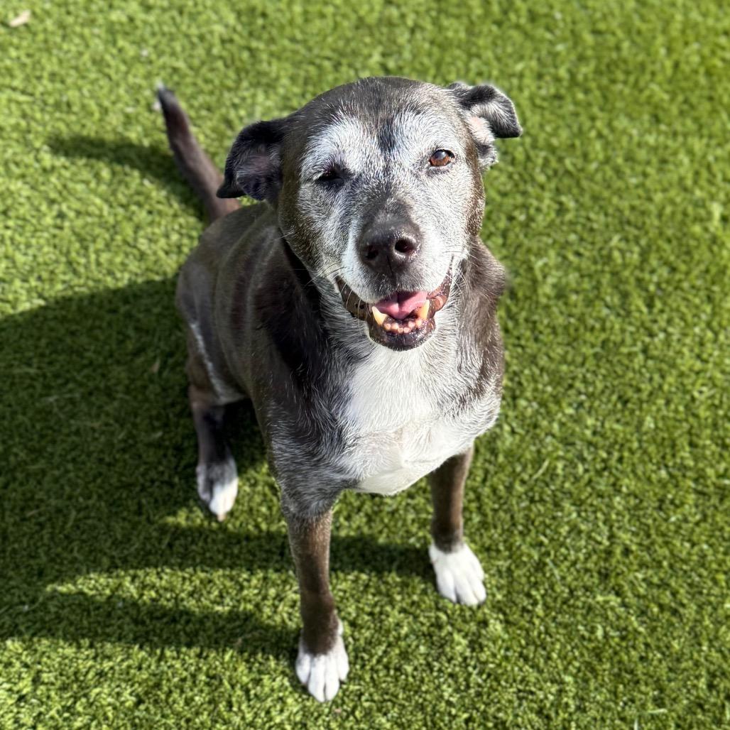 Stacey 2676 — thumbnail 2