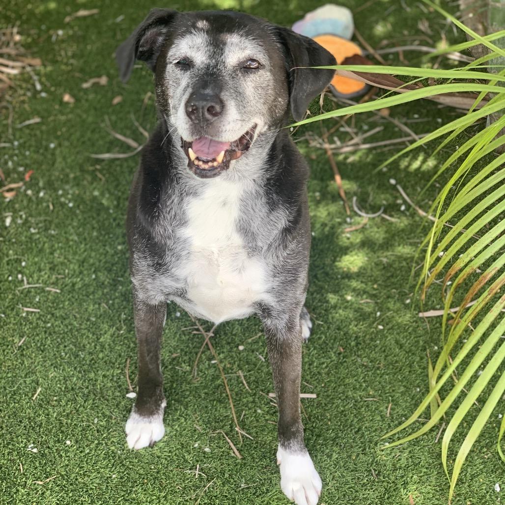 Stacey 2676 — thumbnail 3