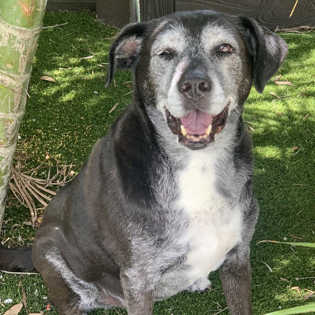 Stacey 2676 — thumbnail 5