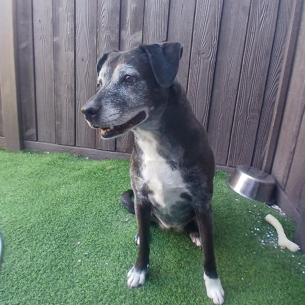 Stacey 2676 — thumbnail 6