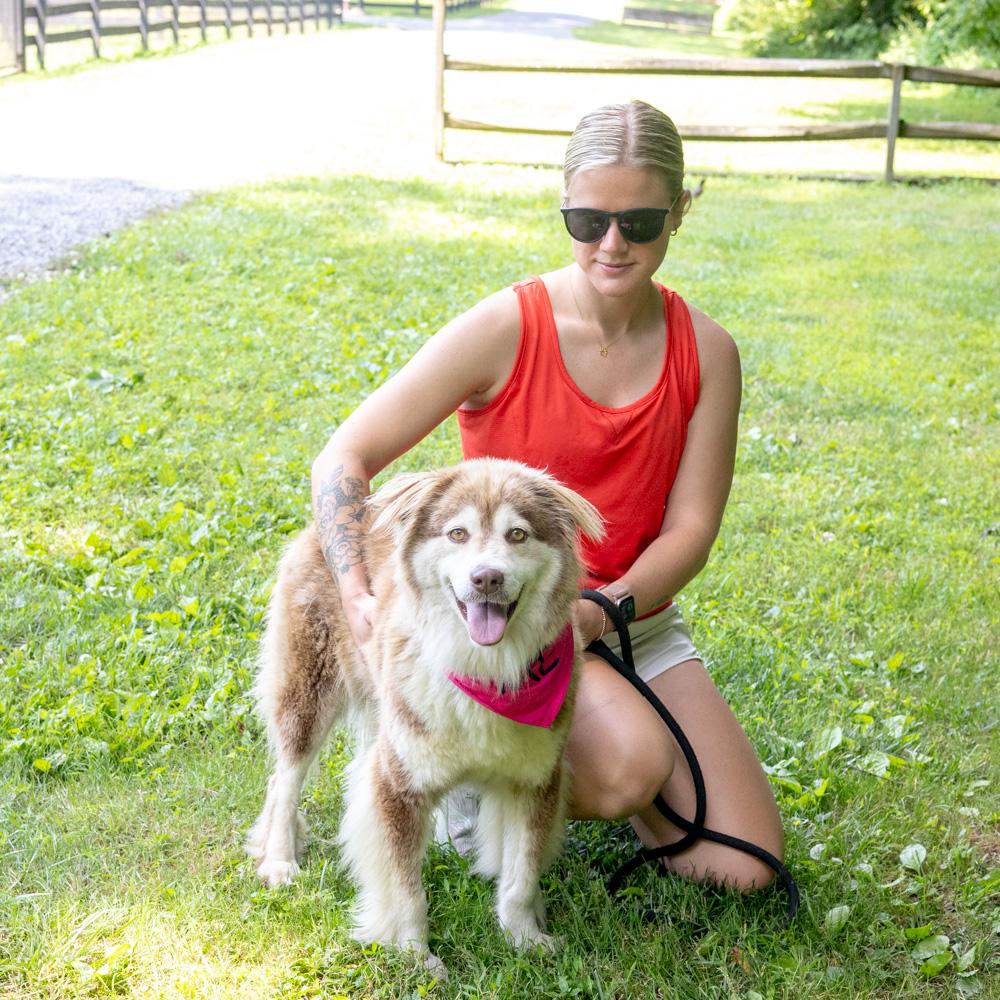 Nina (Female), a Adoptable mixed breed in West Grove, PA image 6/6