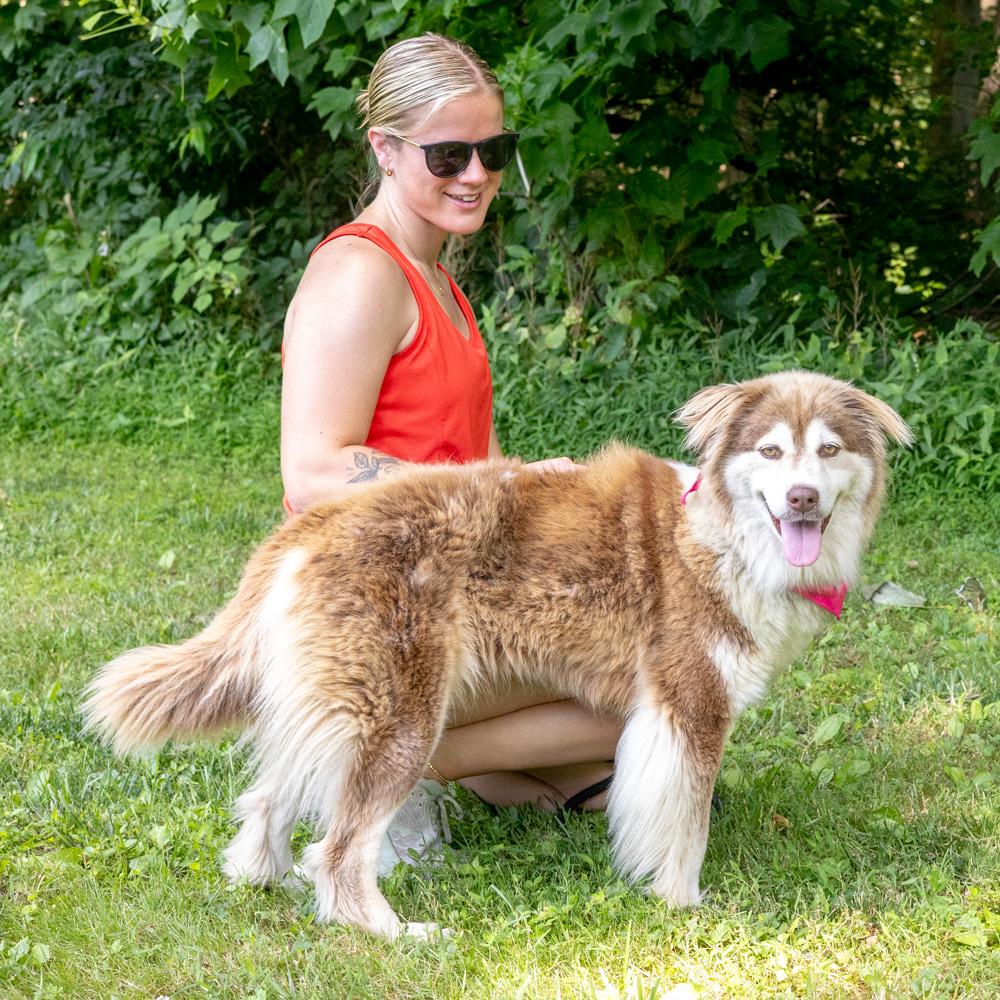 Nina (Female), a Adoptable mixed breed in West Grove, PA image 3/6