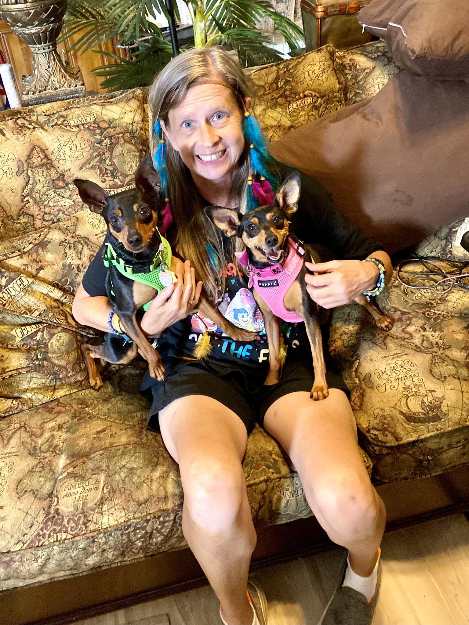 Missy - ADOPTED!, a Adopted Miniature Pinscher in Houston, TX image 3/6