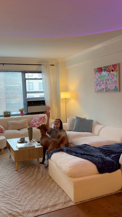 Enlarge Toby, a Adoptable Goldendoodle in Brooklyn, NY video 4/4