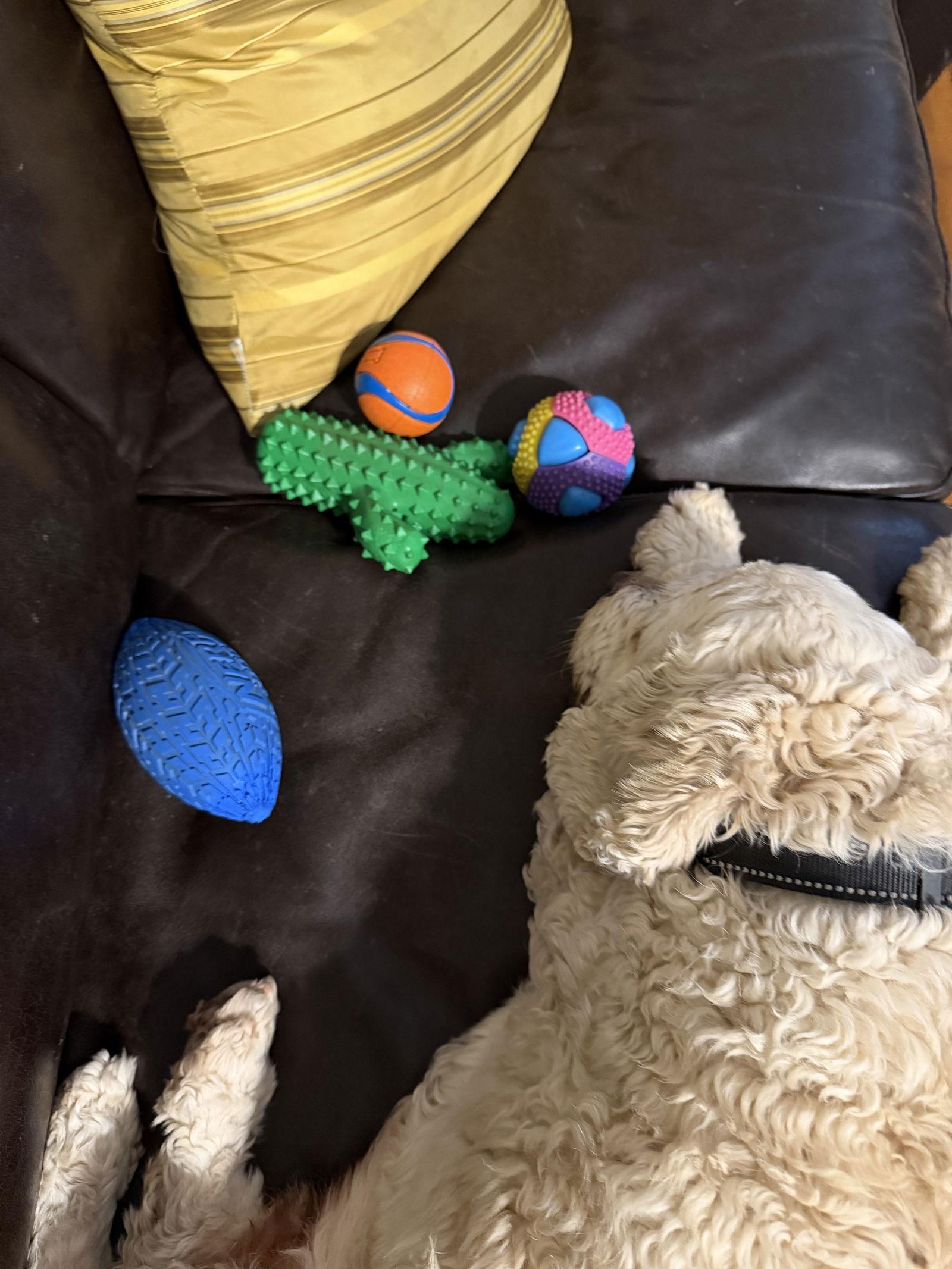 Shaq — thumbnail 3