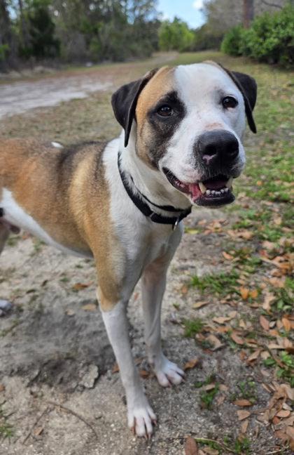 Glitch — thumbnail 2