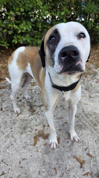 Glitch — thumbnail 3