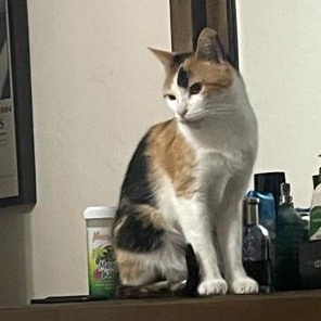 Rosie