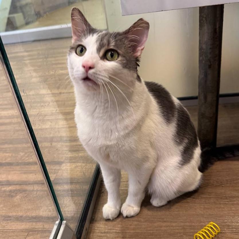 Nube — thumbnail 2