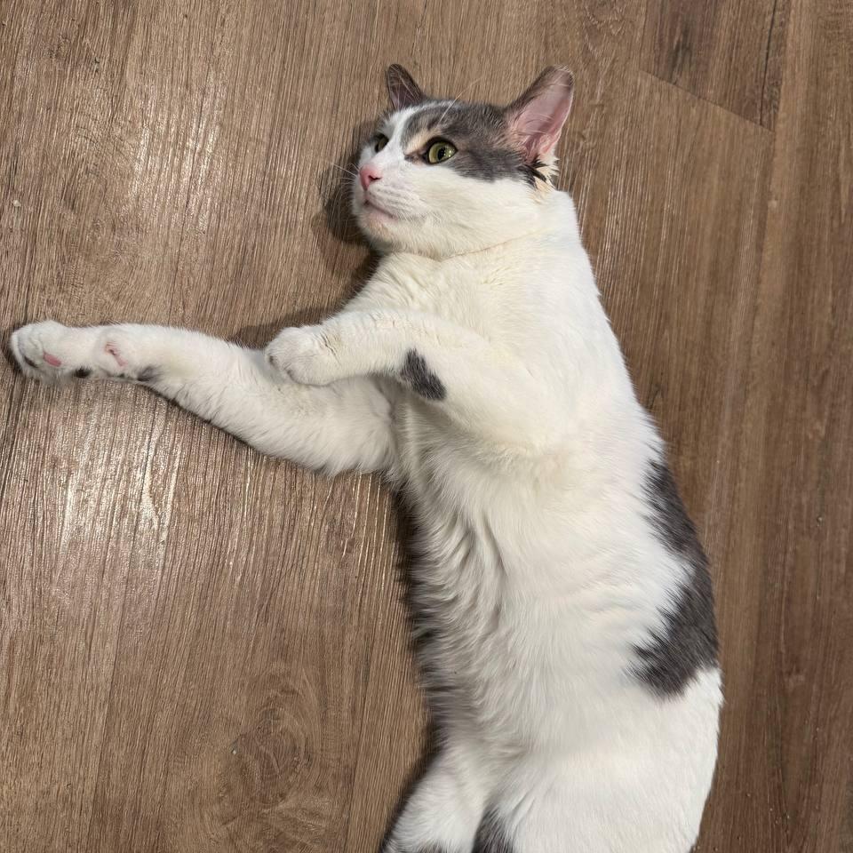 Nube — thumbnail 3