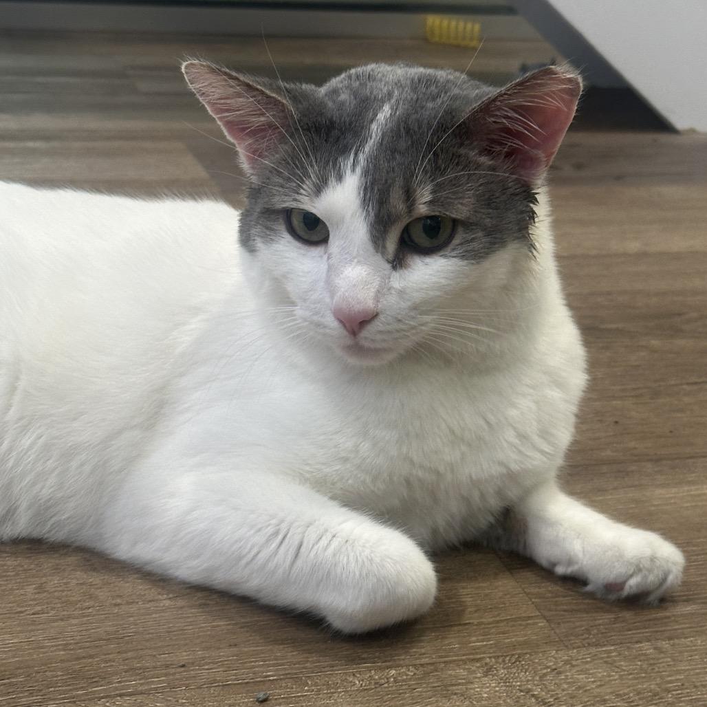 Nube — thumbnail 4