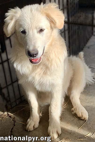 Sapphire in KY - A Bundle of Fun!