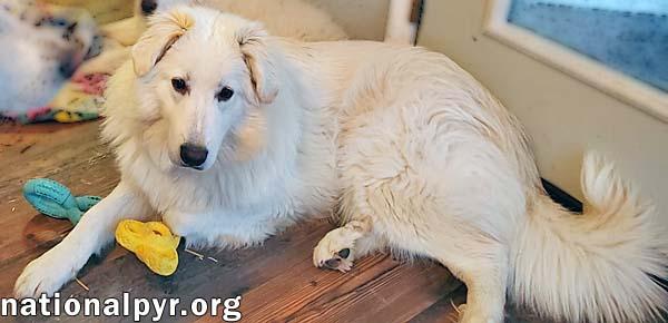 Sapphire In Ky  thumbnail 3