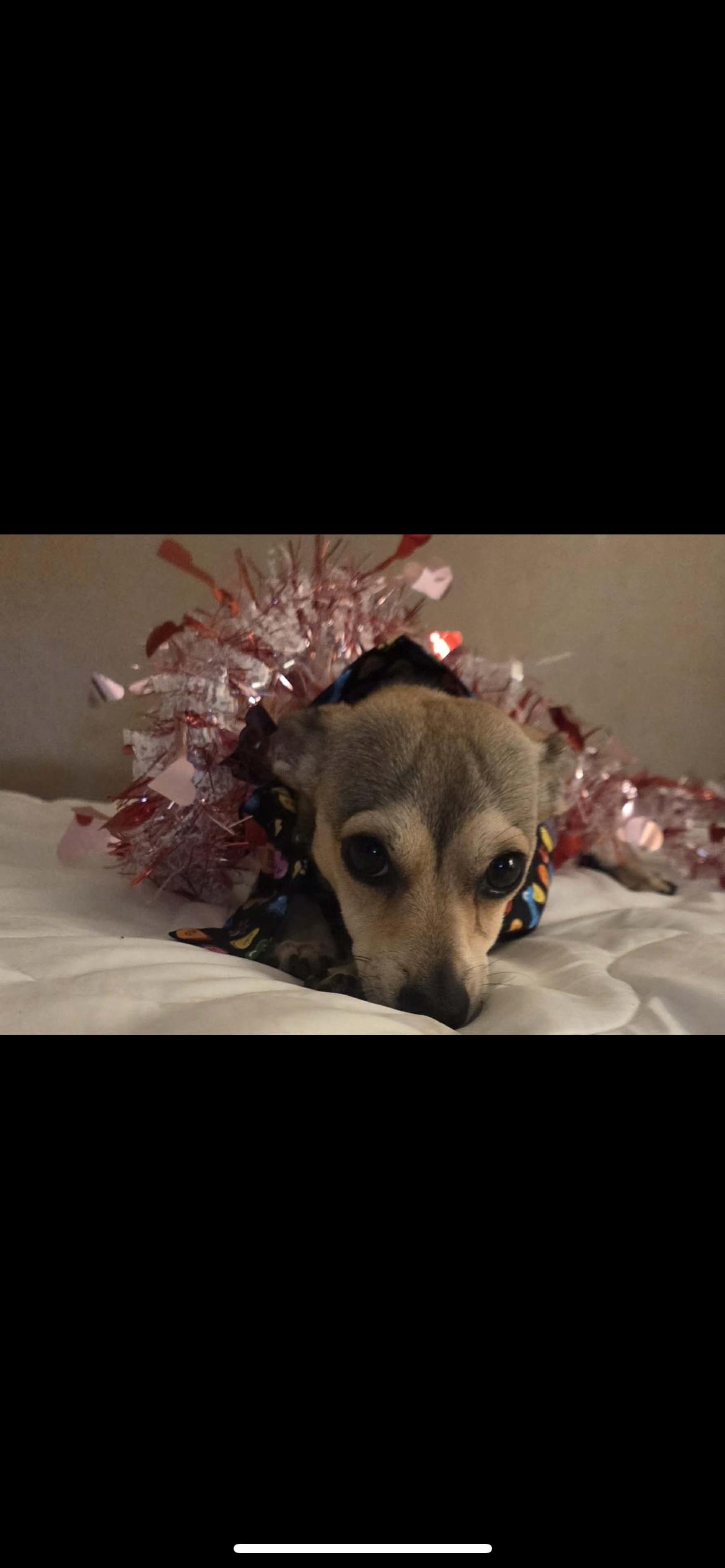 Lakerson thumbnail 2