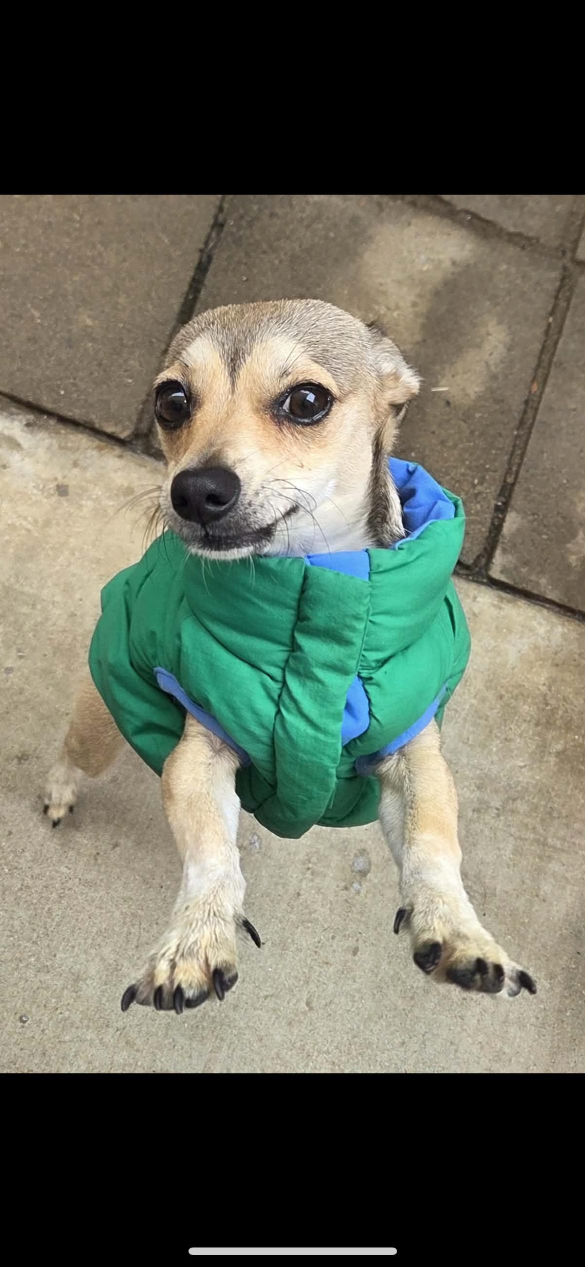 Lakerson thumbnail 3