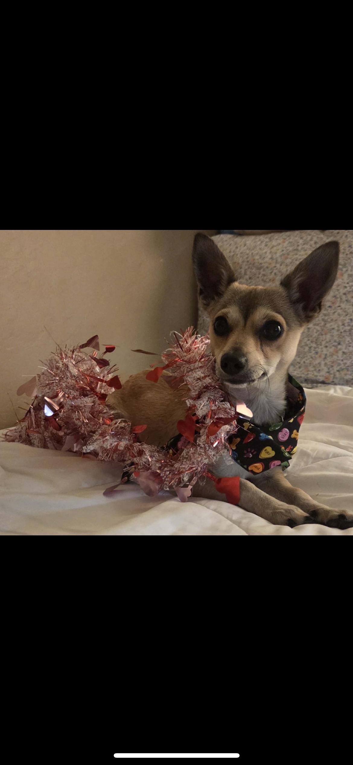 Lakerson thumbnail 5