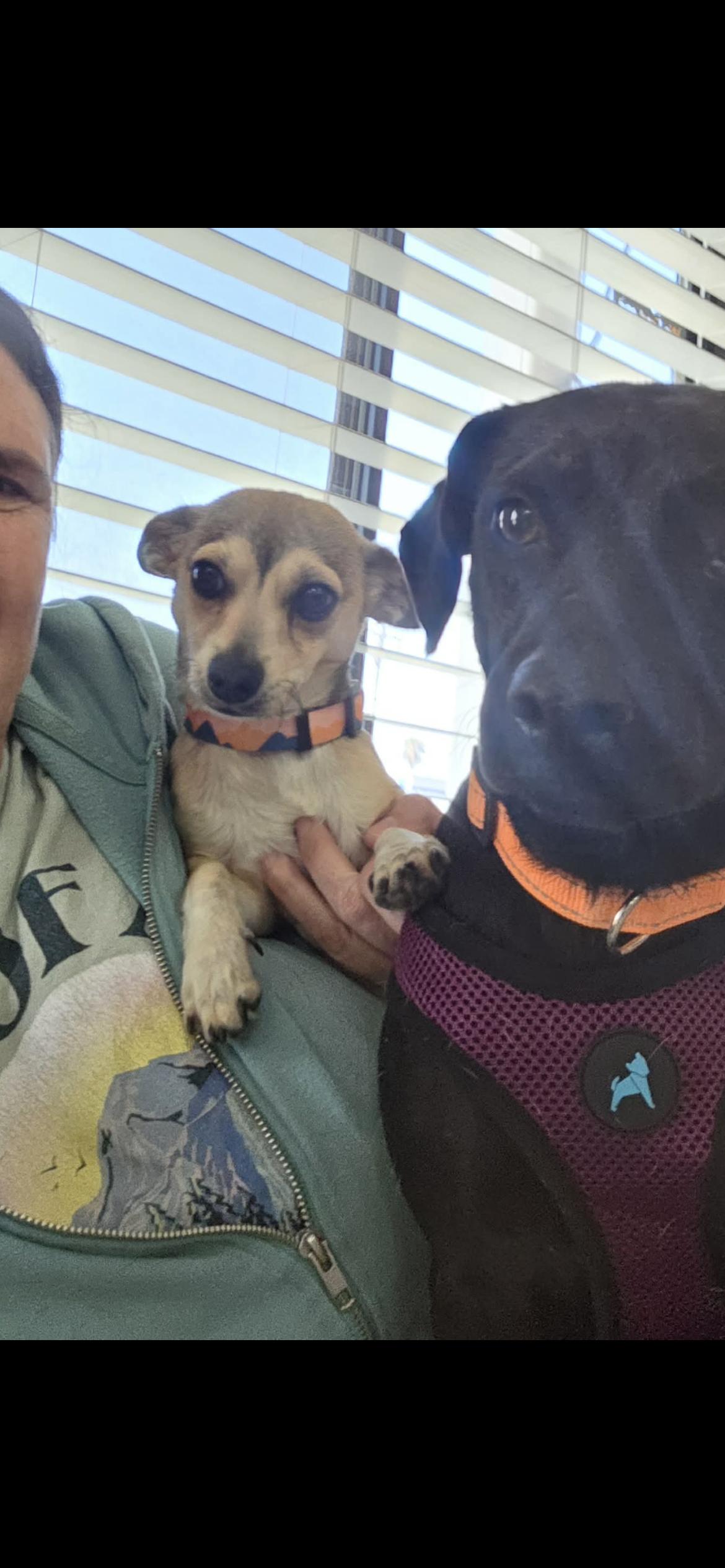 Lakerson thumbnail 6