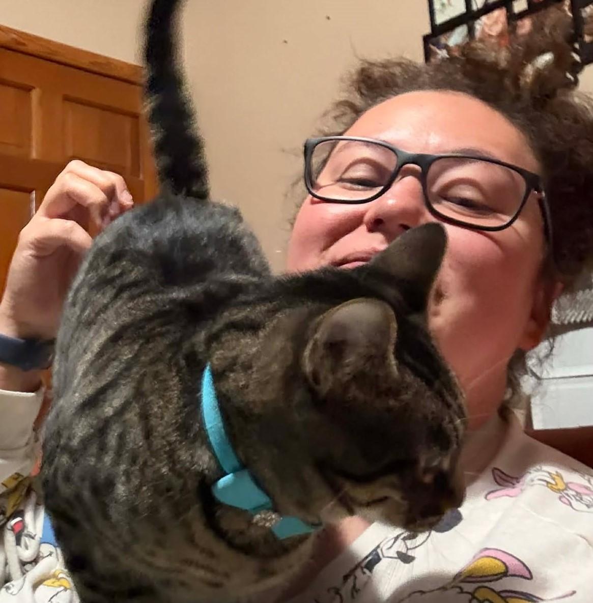 Mabel, a Adoptable Tabby in Beckley, WV image 4/5