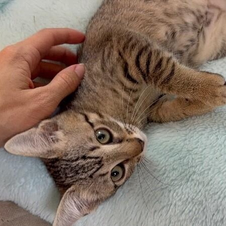 Pinky Gonzalez — thumbnail 3