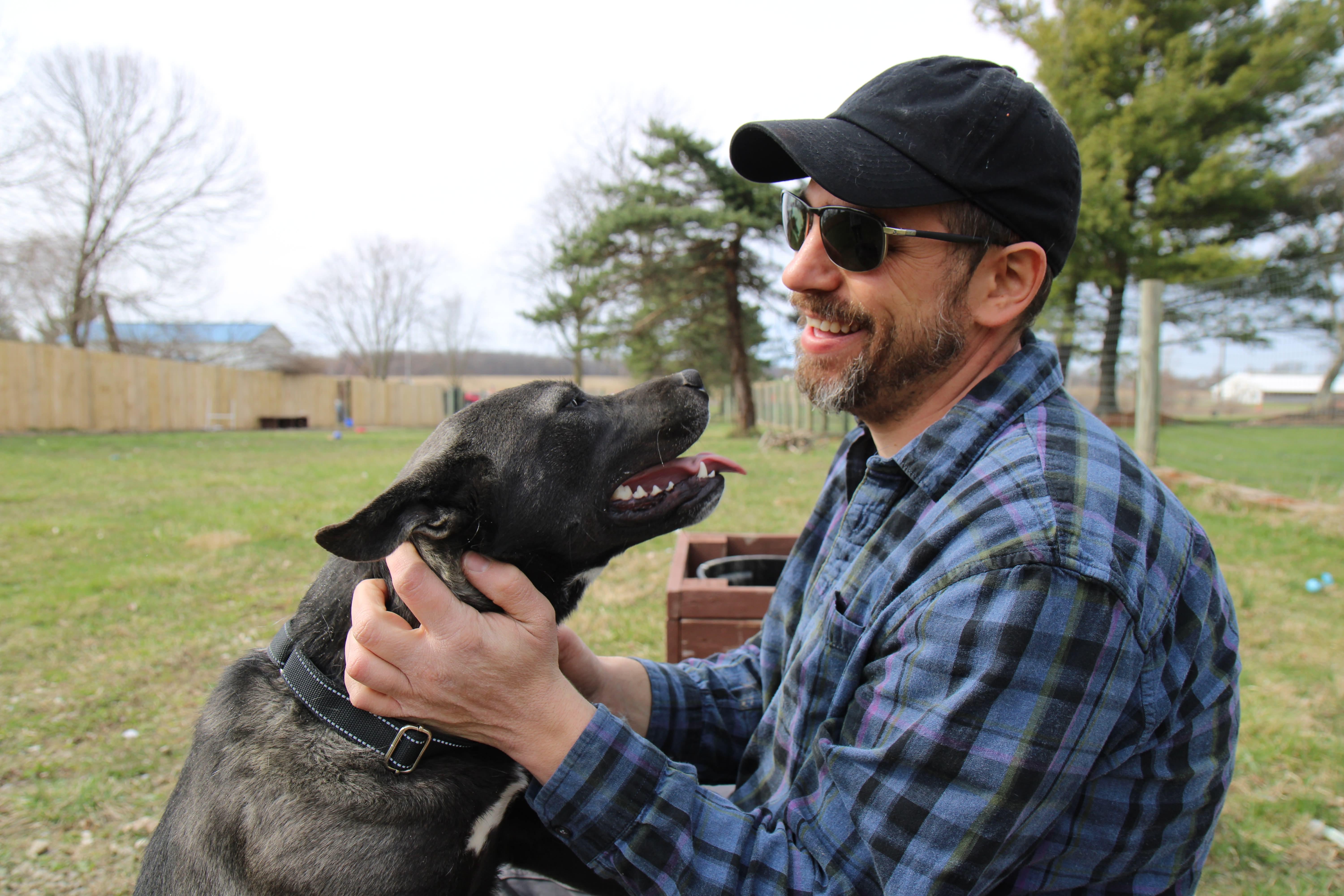 Enlarge Luna, a Adoptable mixed breed in Plain City, OH image 1/6