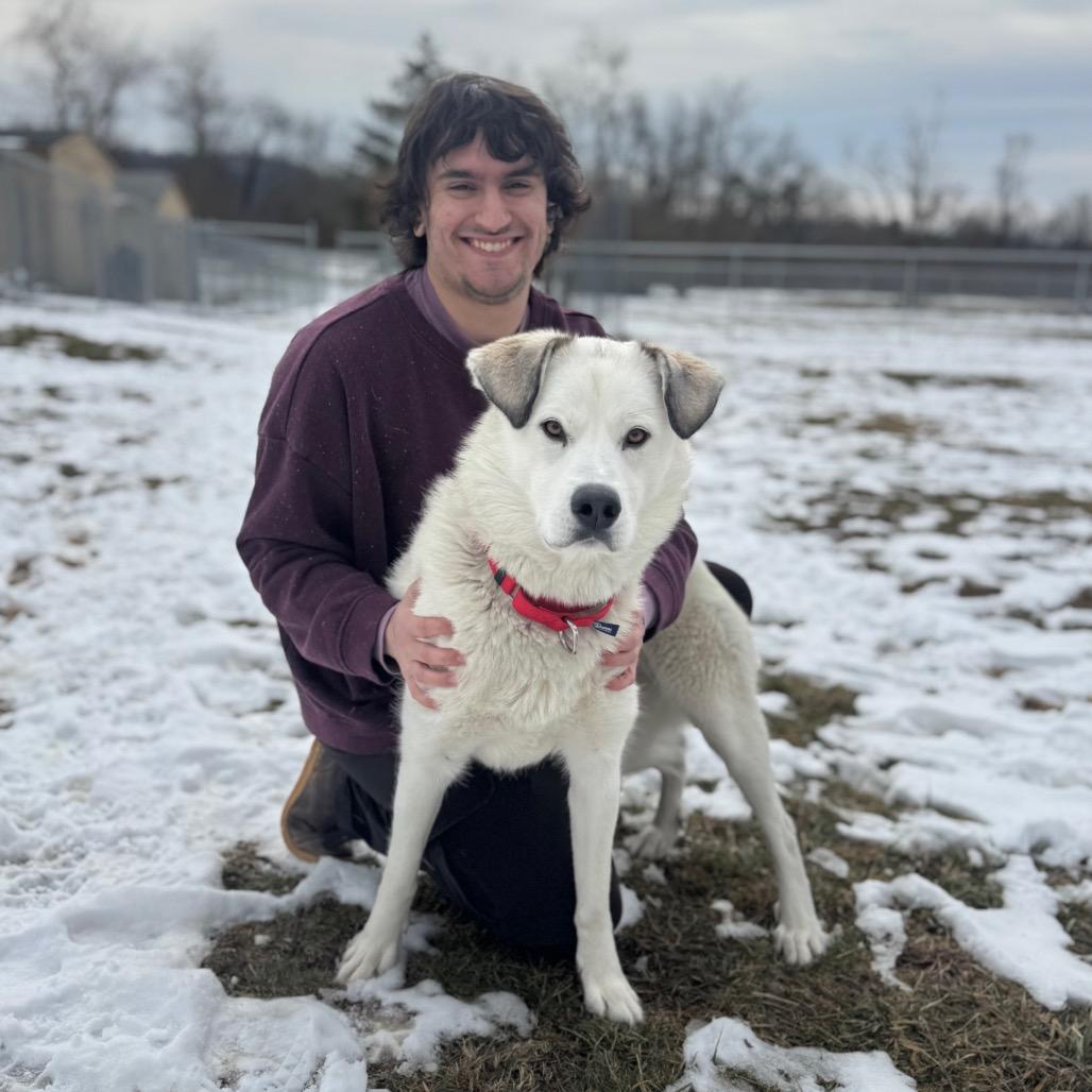 Enlarge Luna, a Adoptable Mixed Breed in Hendersonville, NC image 4/6