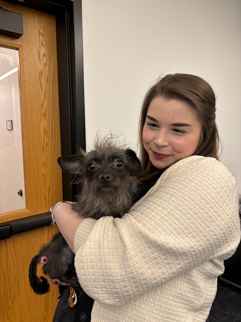 Enlarge Luna, a Adopted mixed breed in Des Plaines, IL image 2/5