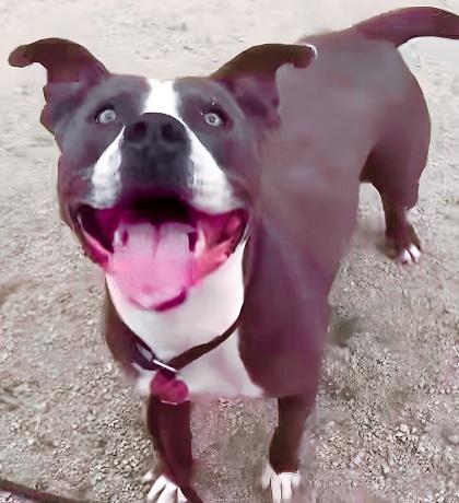 Bruce-Will Make You Smile