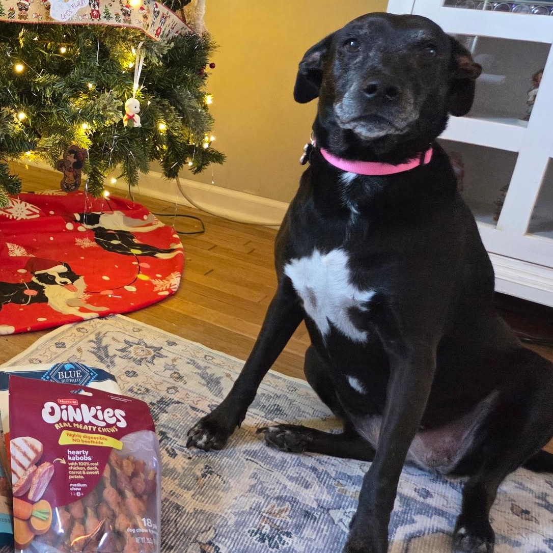 Trixie — thumbnail 2