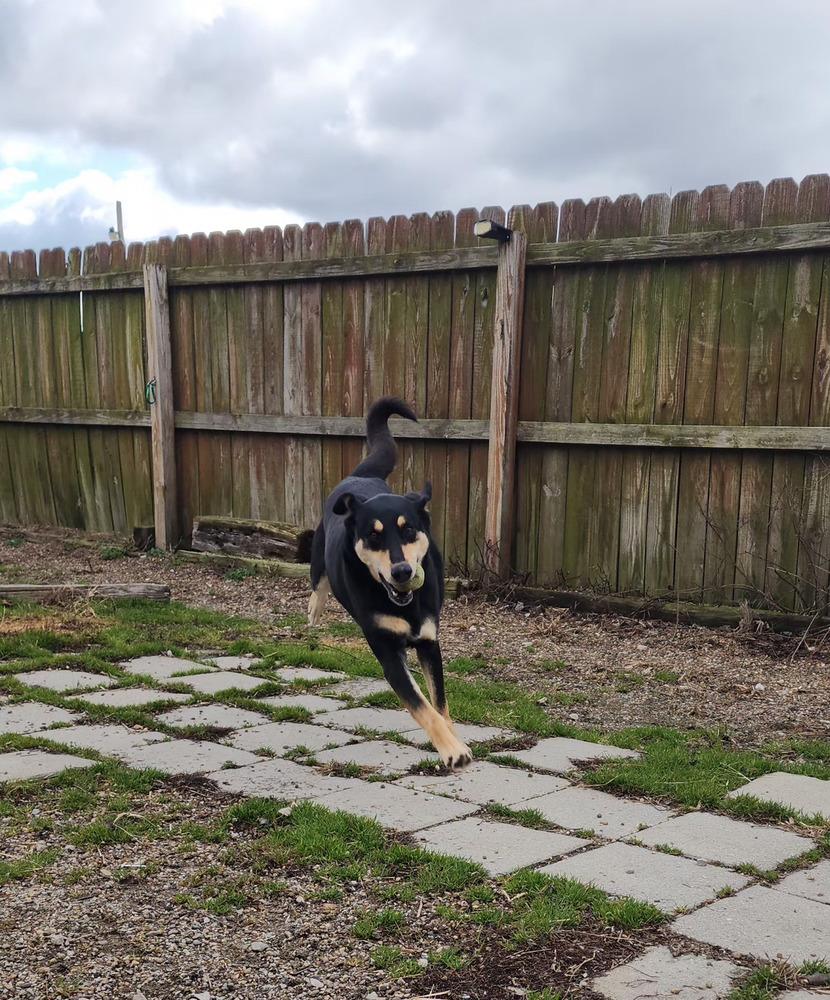 Chuck — thumbnail 2