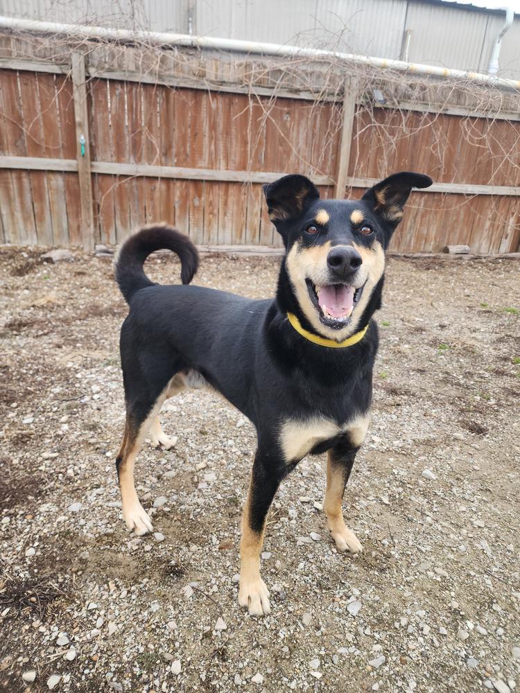 Chuck — thumbnail 5