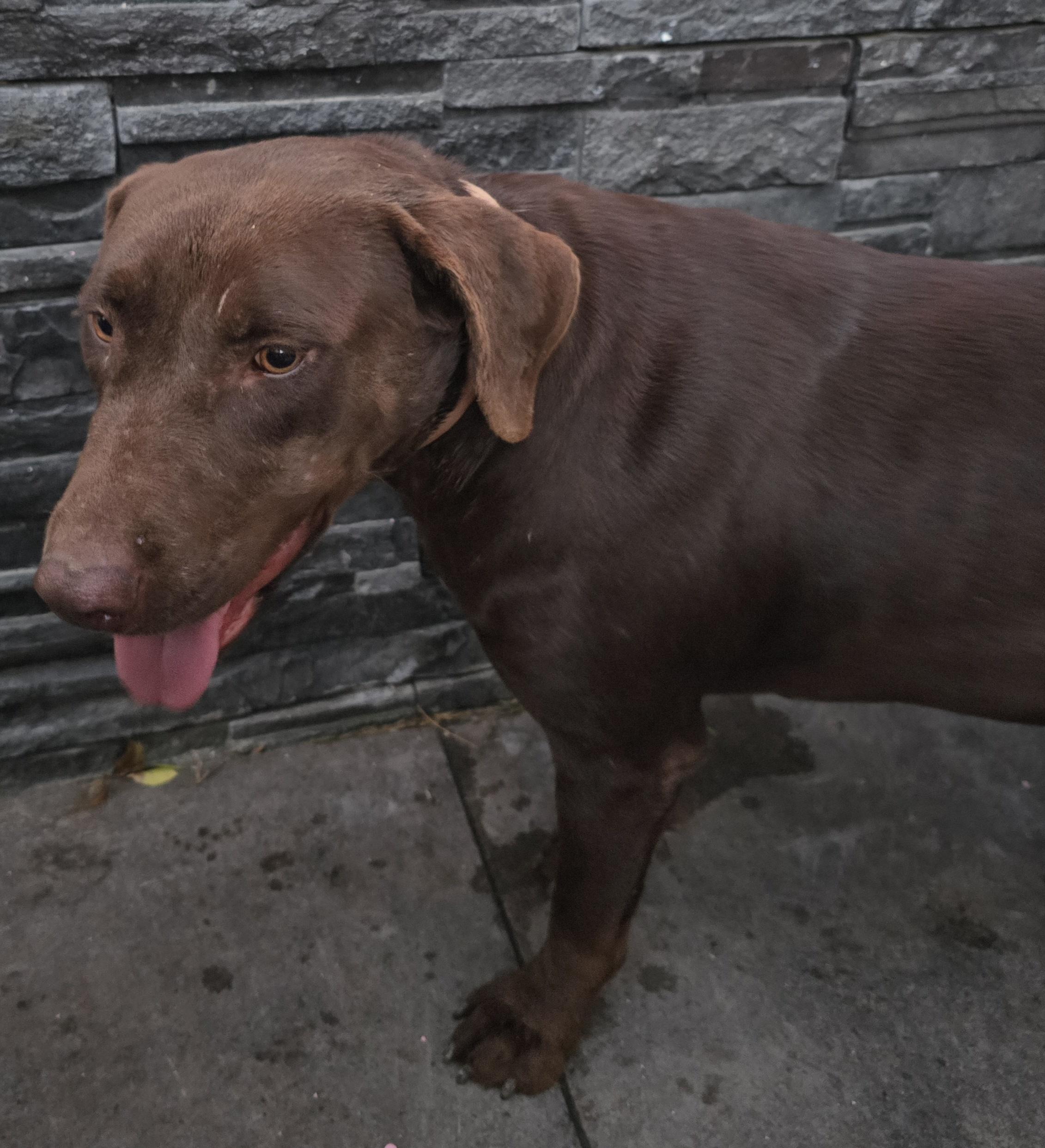 Roosevelt — thumbnail 5