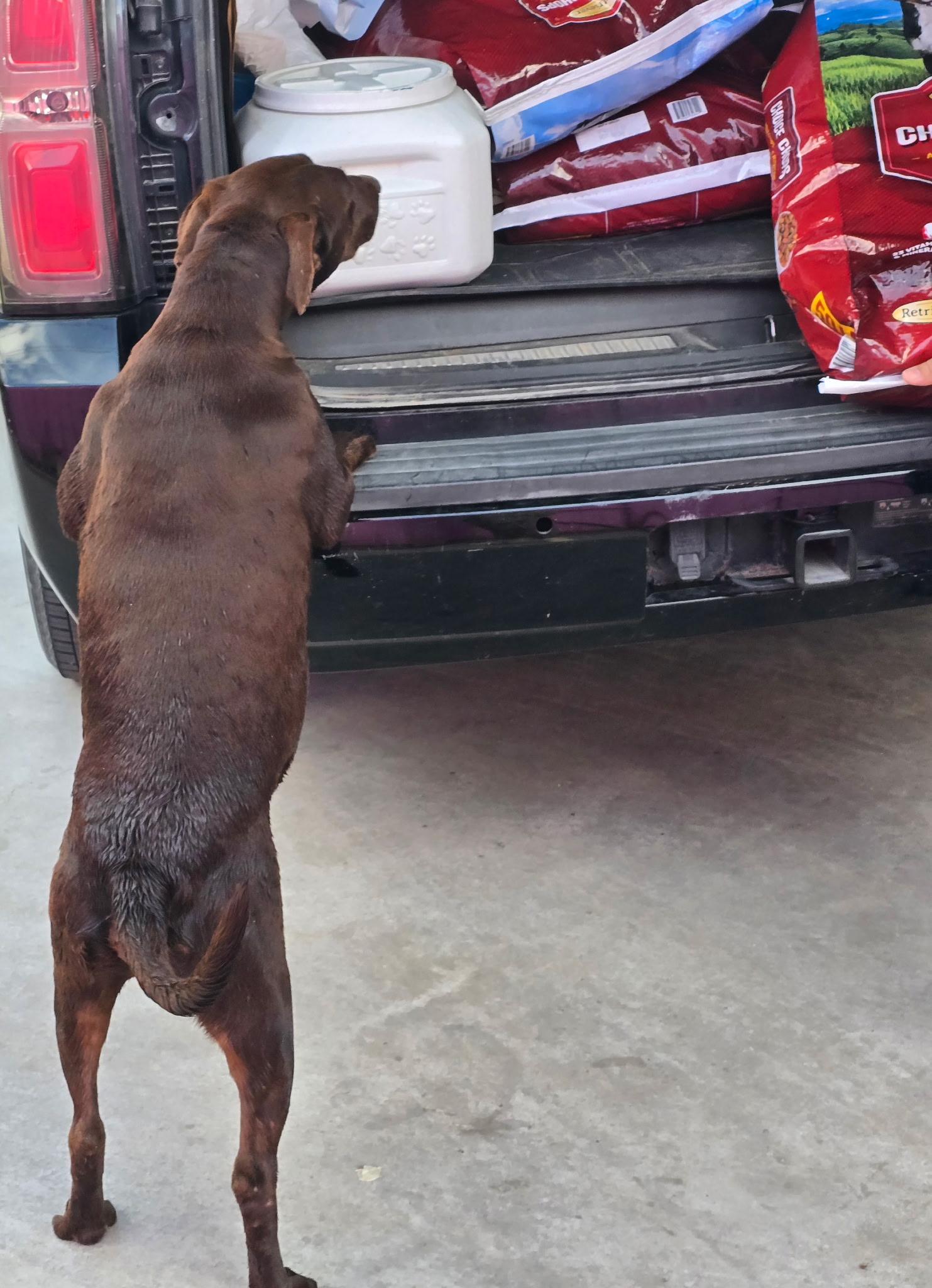 Roosevelt — thumbnail 6