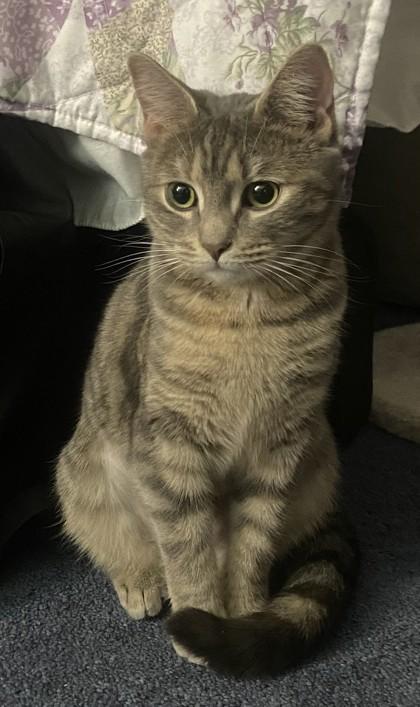 Delilah — thumbnail 2