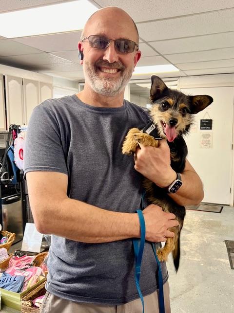 Enlarge Wolfgang, a ADOPTABLE mixed breed in san ramon, CA image 3/5