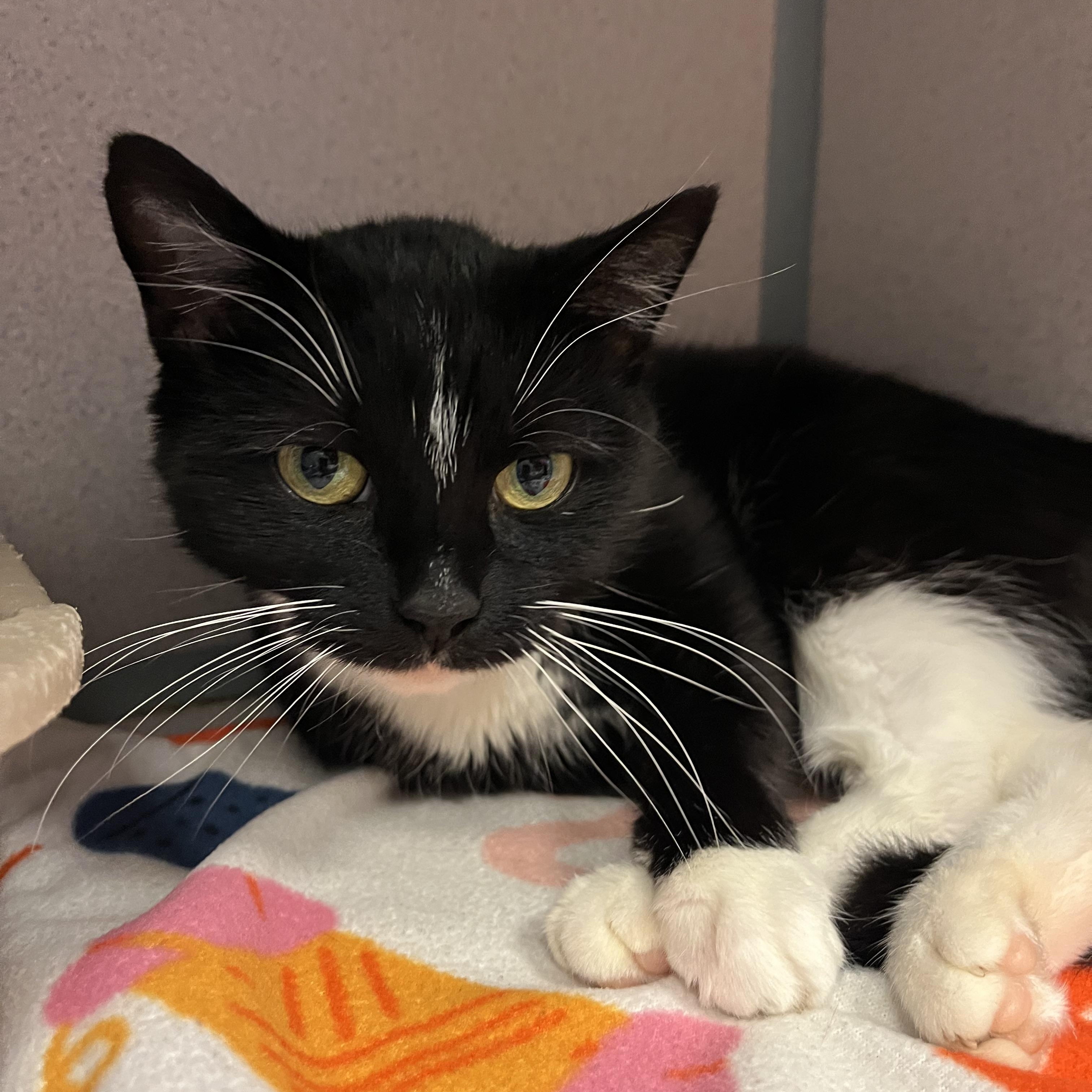 Winter — thumbnail 2