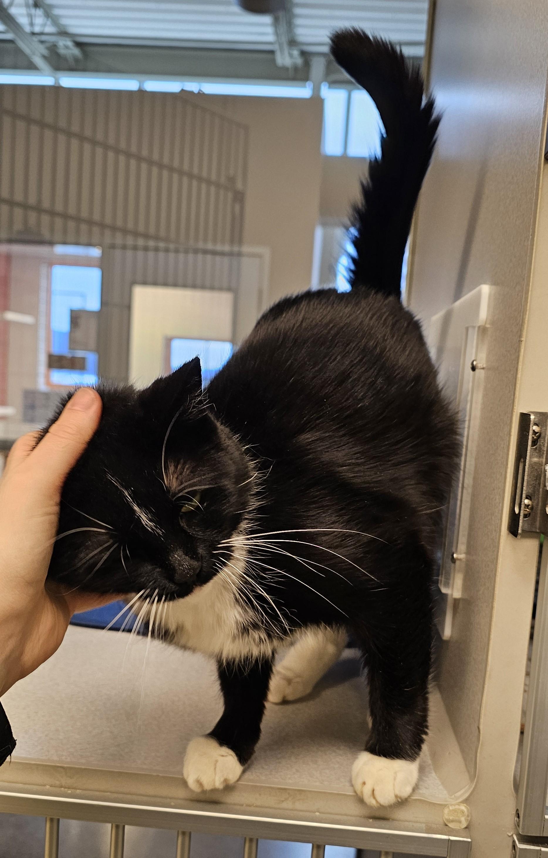 Winter — thumbnail 3