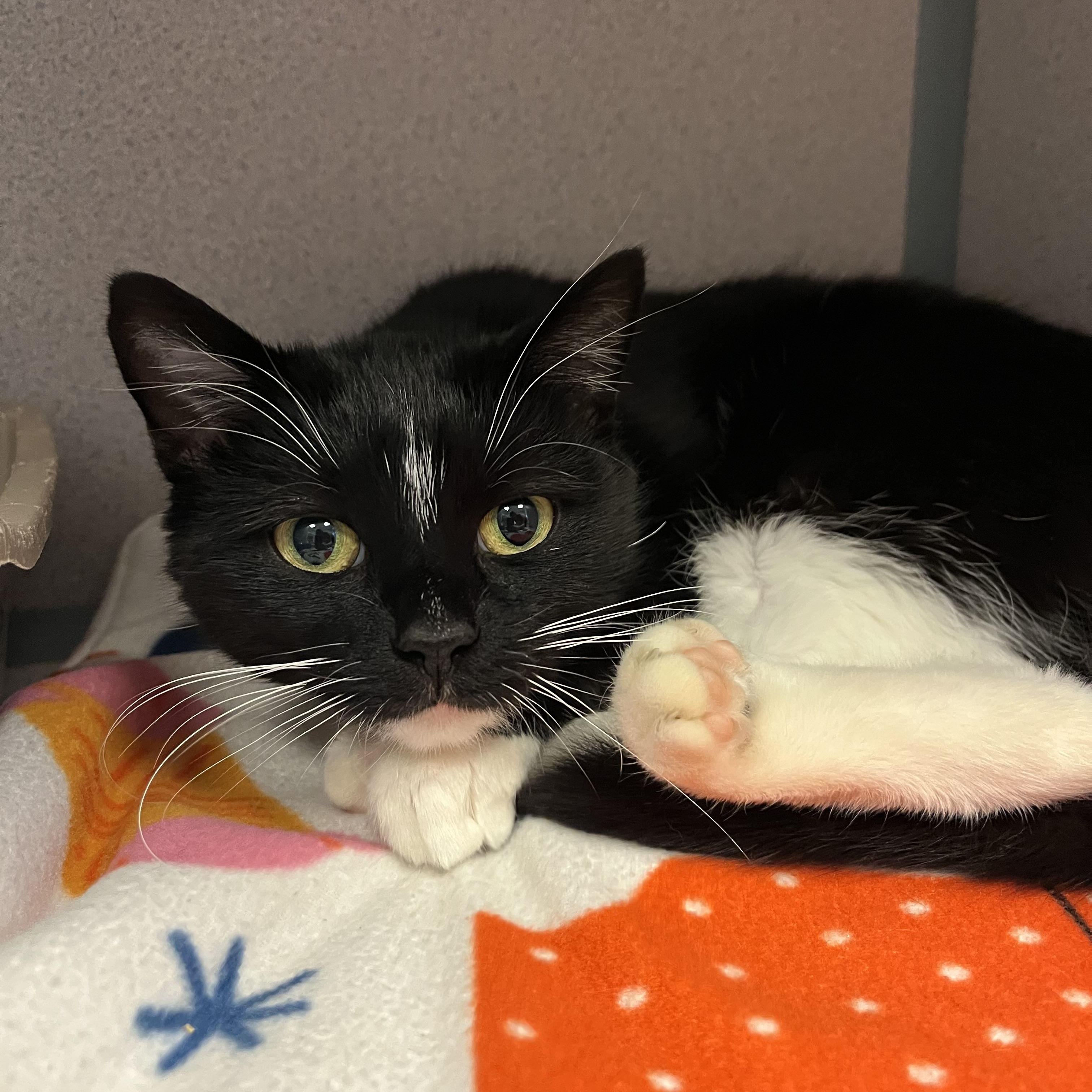 Winter — thumbnail 4