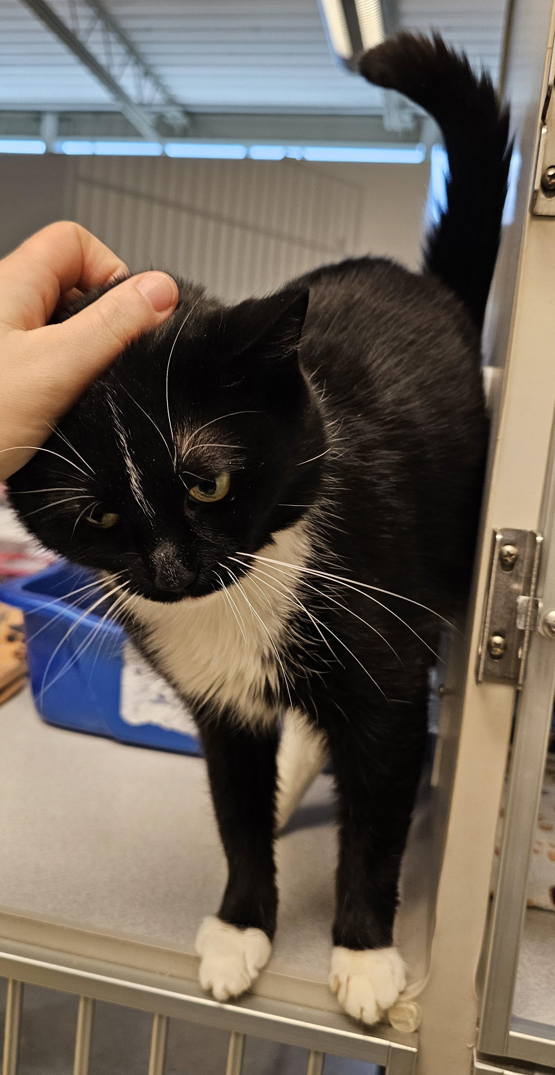 Winter — thumbnail 5