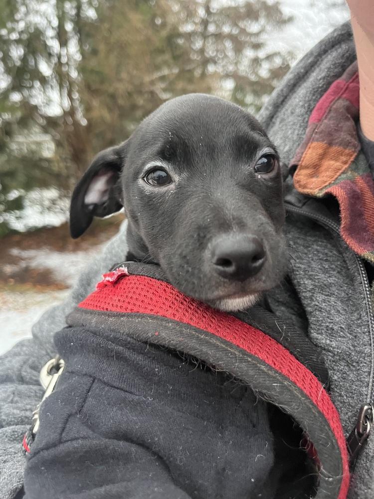 Molly Mae thumbnail 4