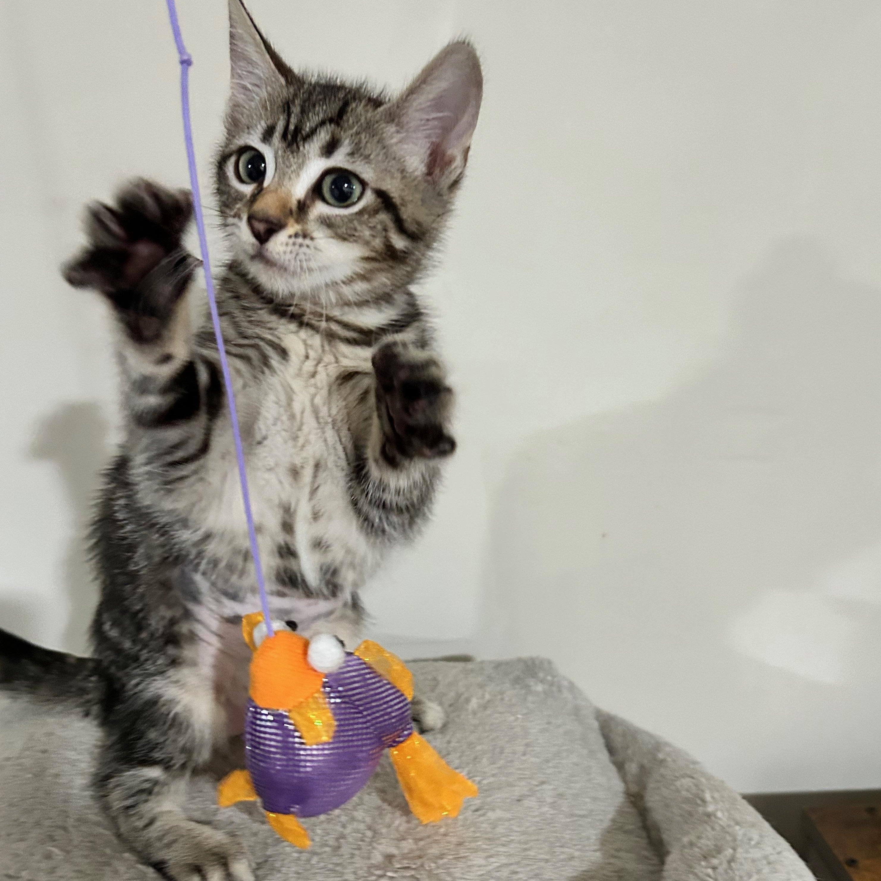 Sephora - The Glam Group