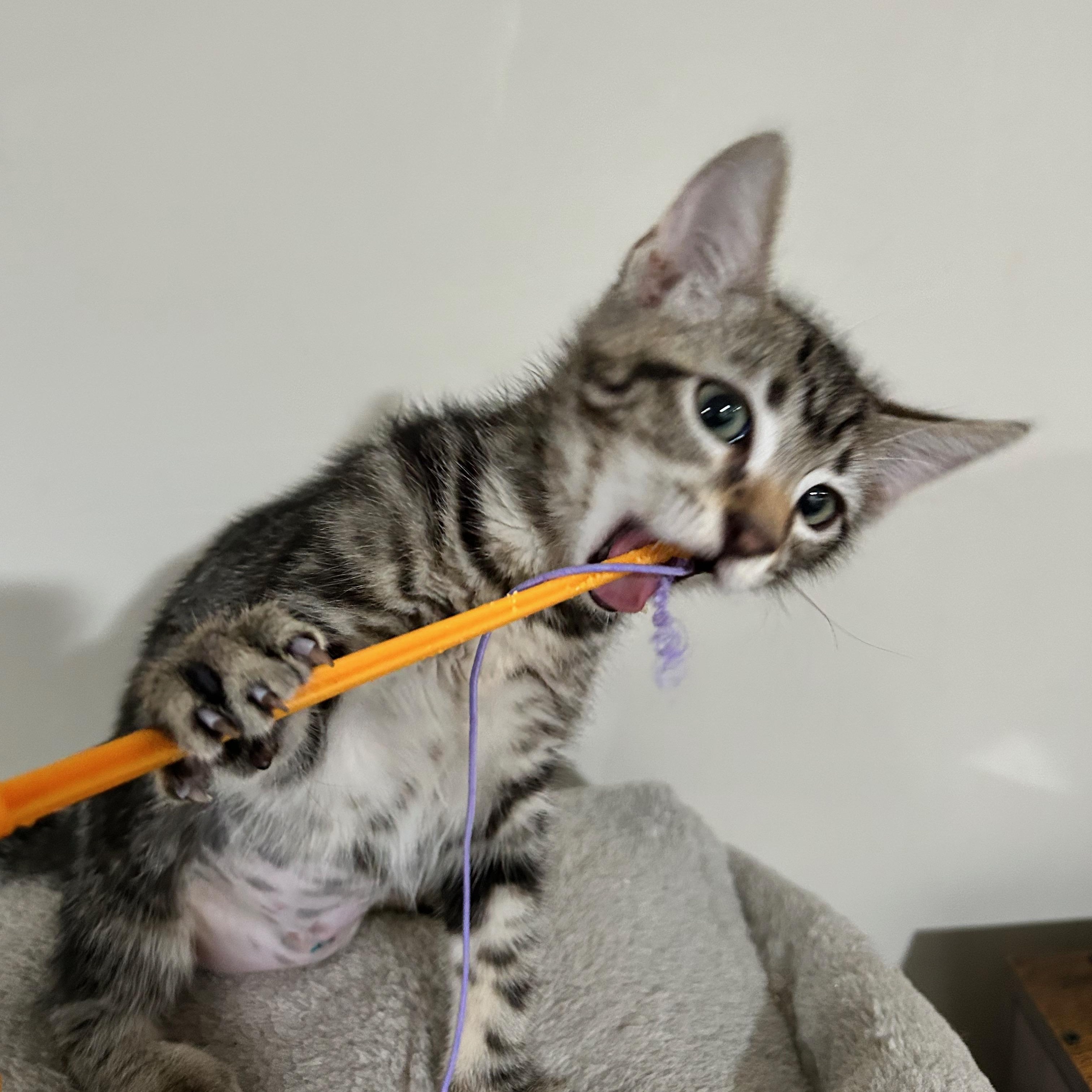 Sephora - The Glam Group