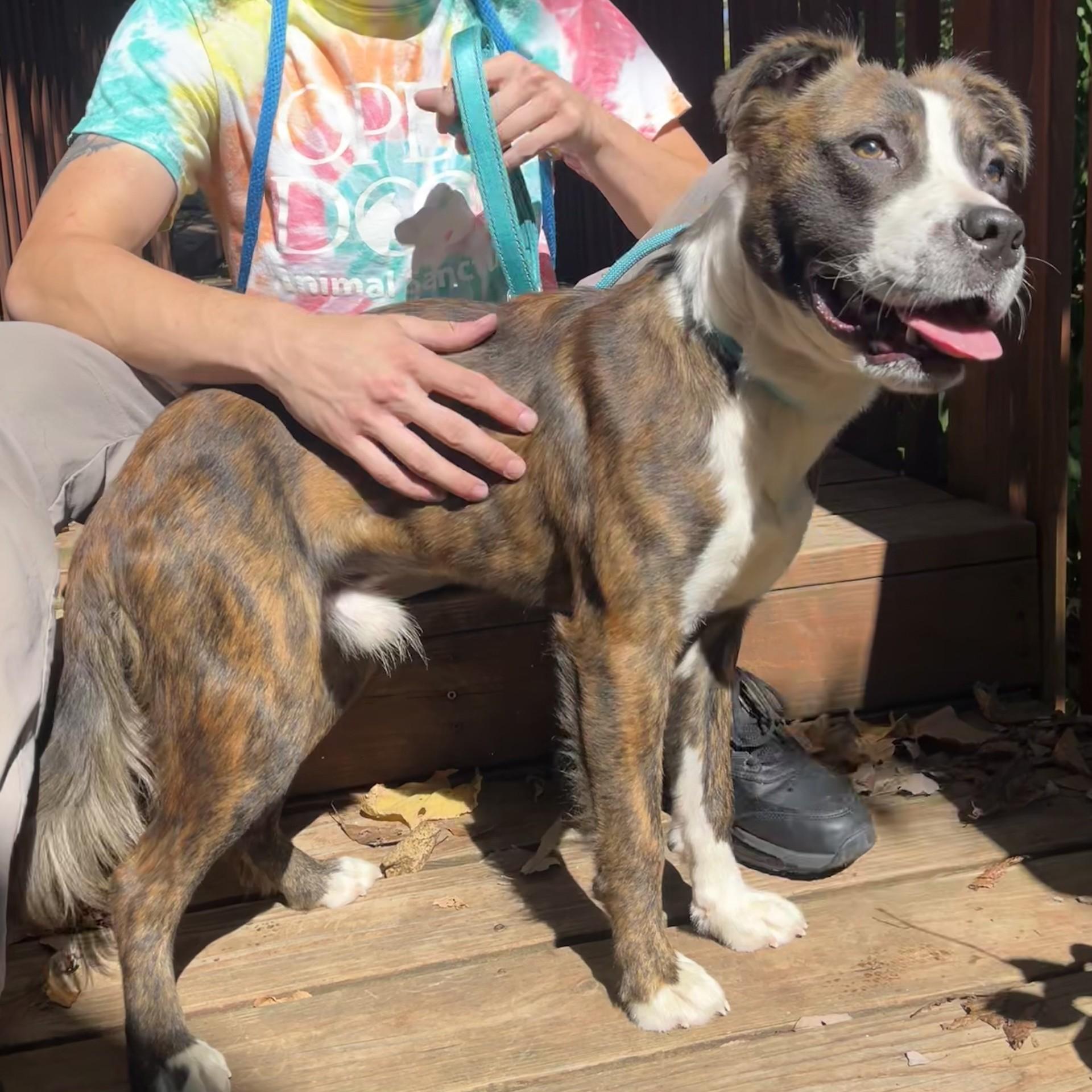 Jackpot — thumbnail 2