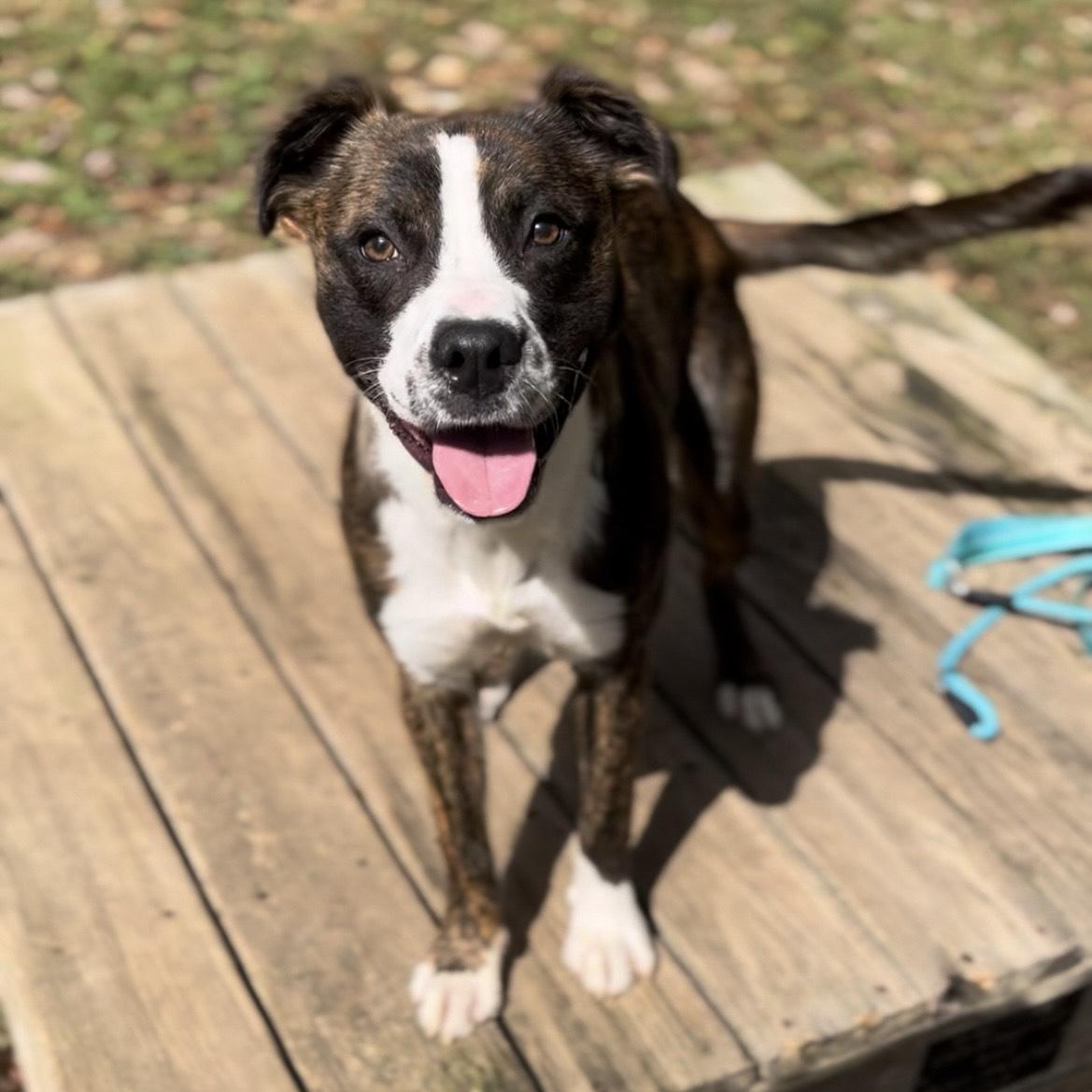 Jackpot — thumbnail 3