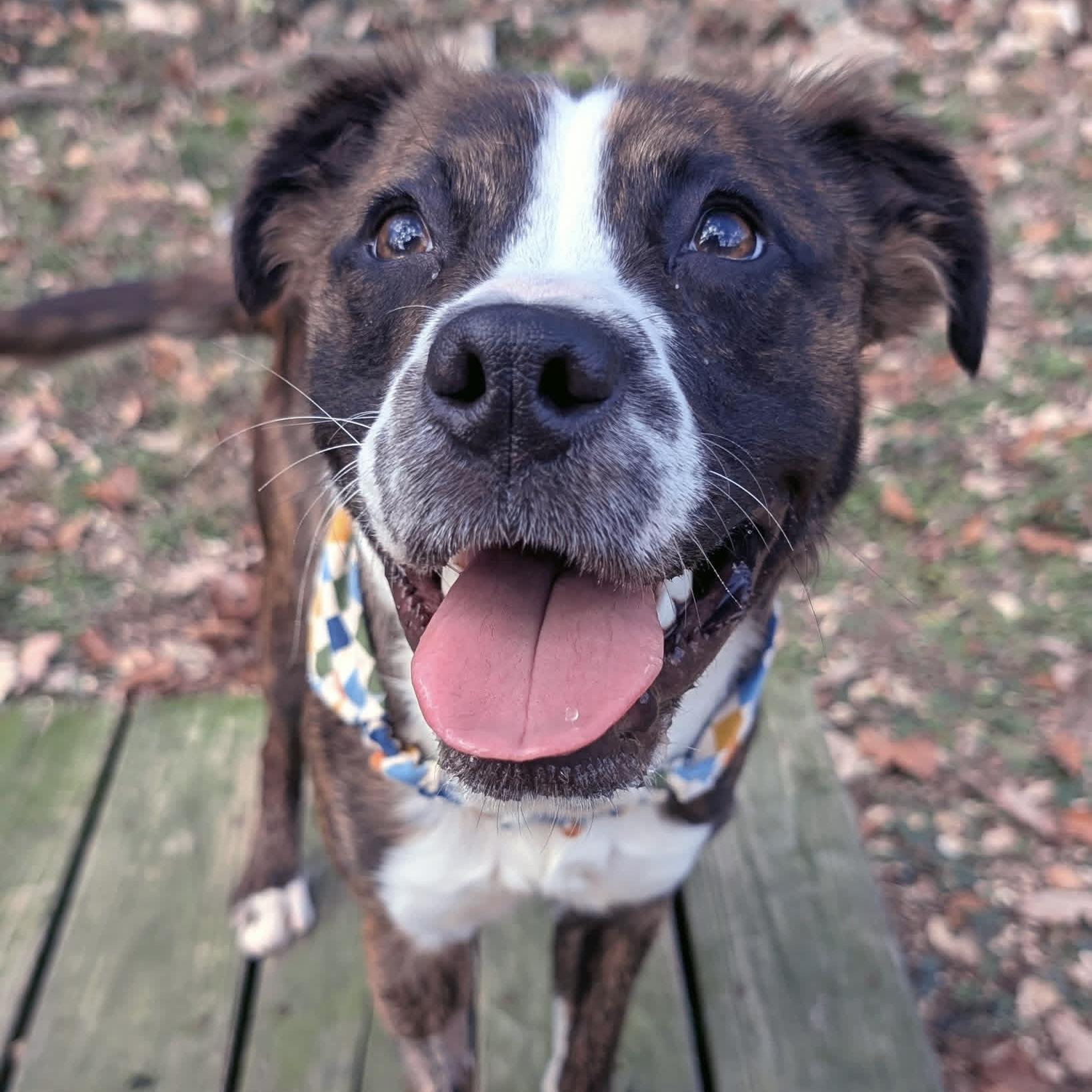 Jackpot — thumbnail 4