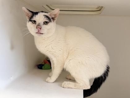 Berlin — thumbnail 2