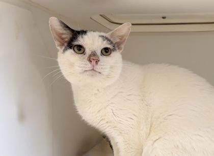 Berlin — thumbnail 3