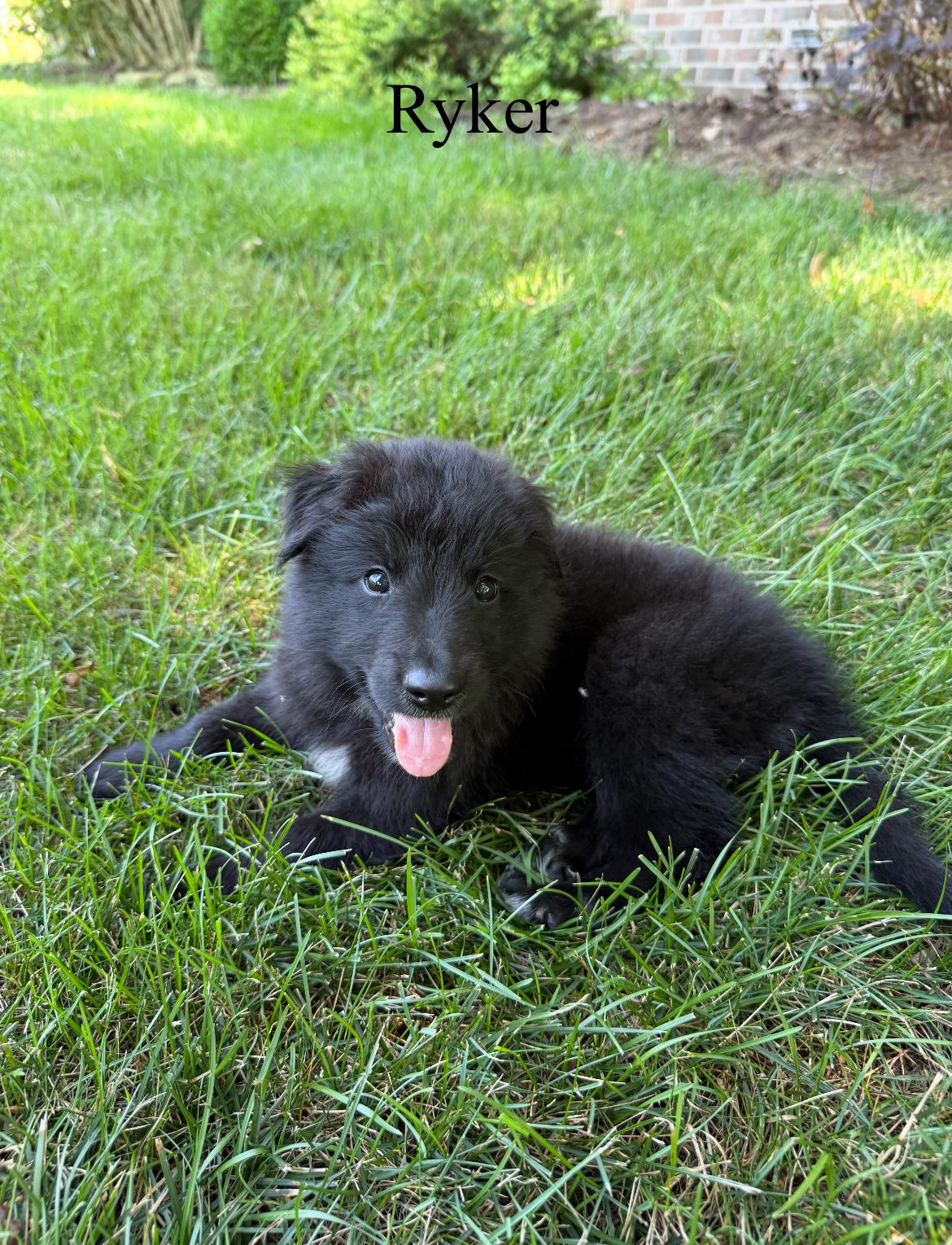 Ryker!!, Baby Male unknown